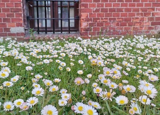 Sukces w Ogólnopolskim Konkursie Fotograficznym  grafika