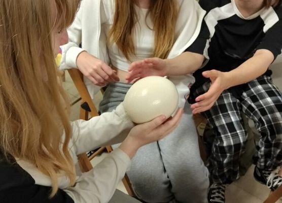 Piknik przyrodniczy klasy VIb grafika