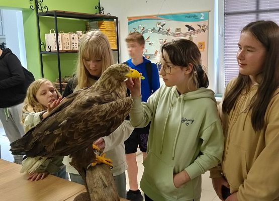 Piknik przyrodniczy klasy VIb grafika