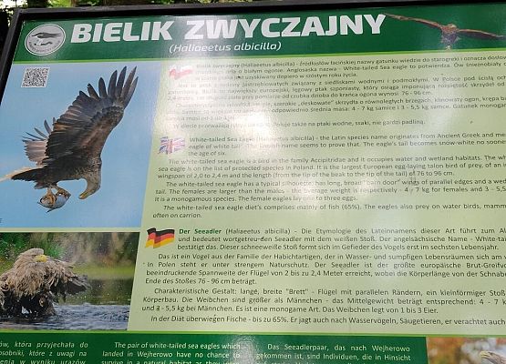 Piknik przyrodniczy klasy VIb grafika