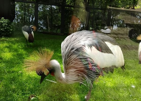 Piknik przyrodniczy klasy VIb grafika