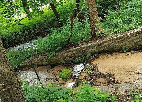 Piknik przyrodniczy klasy VIb grafika