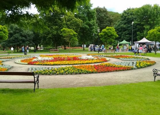 Piknik przyrodniczy klasy VIb grafika