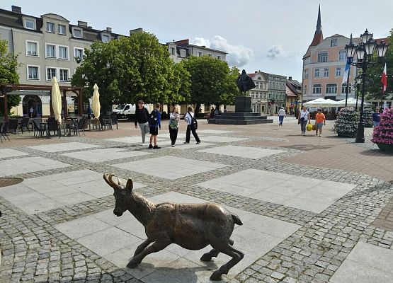 Piknik przyrodniczy klasy VIb grafika