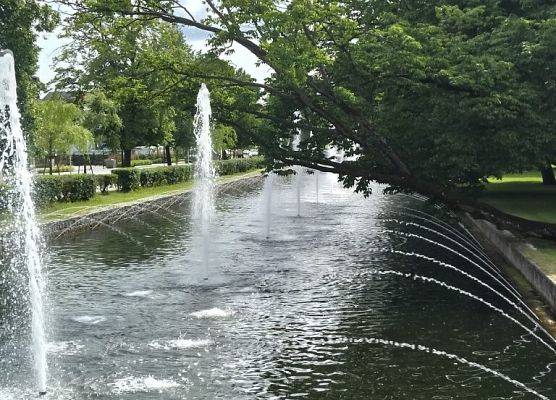 Piknik przyrodniczy klasy VIb grafika