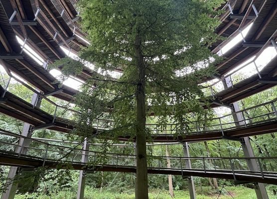 Polsko-niemiecka wymiana grafika