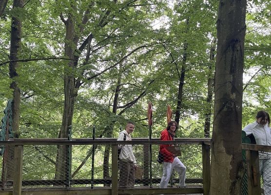 Polsko-niemiecka wymiana grafika