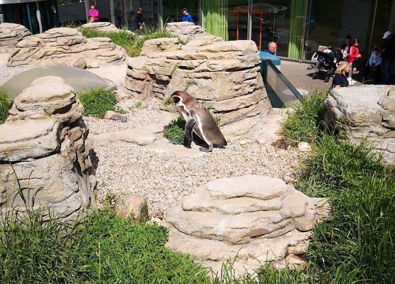 Polsko-niemiecka wymiana grafika