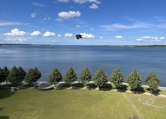 Polsko-niemiecka wymiana grafika