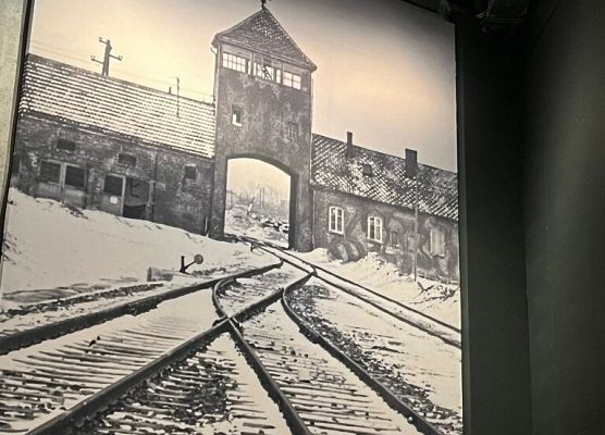 Tu można dotknąć historii grafika