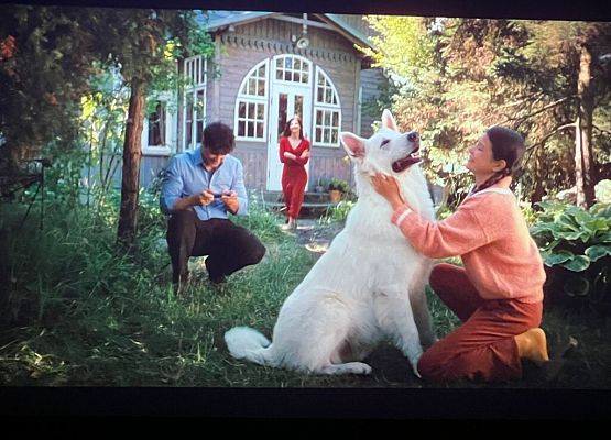 Polskie kino młodego widza grafika