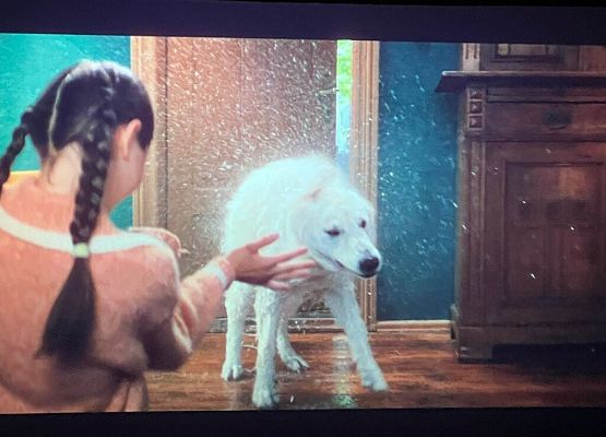 Polskie kino młodego widza grafika