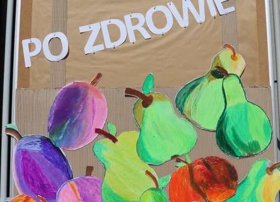 Po zdrowie - działania prozdrowotne grafika