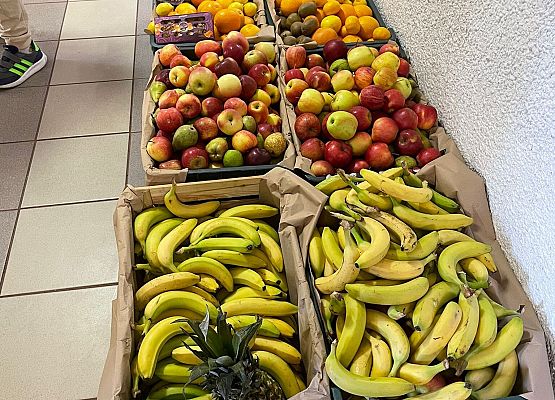 Owoce dla seniora grafika