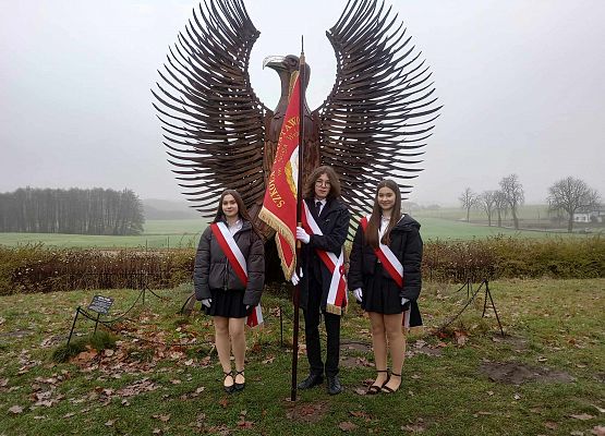 Uroczystości z udziałem pocztu sztandarowego grafika