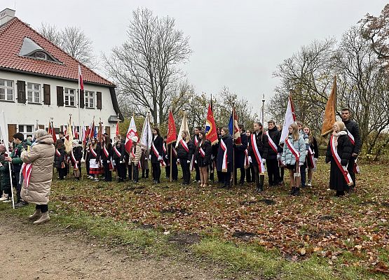 Uroczystości z udziałem pocztu sztandarowego grafika