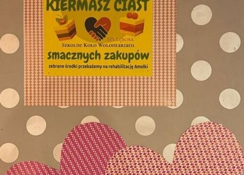 Z pomocą dla Amelki grafika