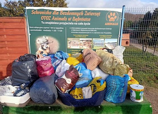 Podziękowanie za pomoc grafika