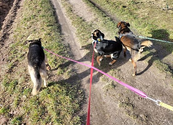 Podziękowanie za pomoc grafika