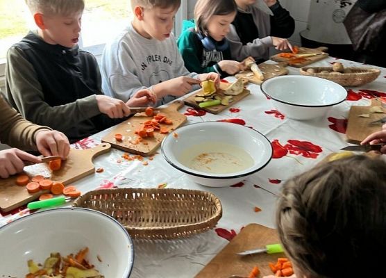 Wizyta w krainie w kratę grafika