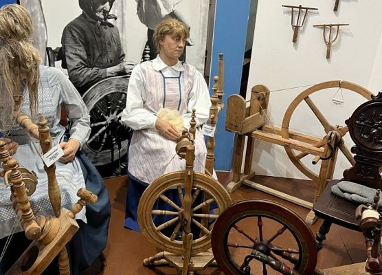 Wizyta w krainie w kratę grafika