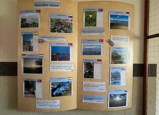 Dzień otwarty - poznajemy SLO grafika