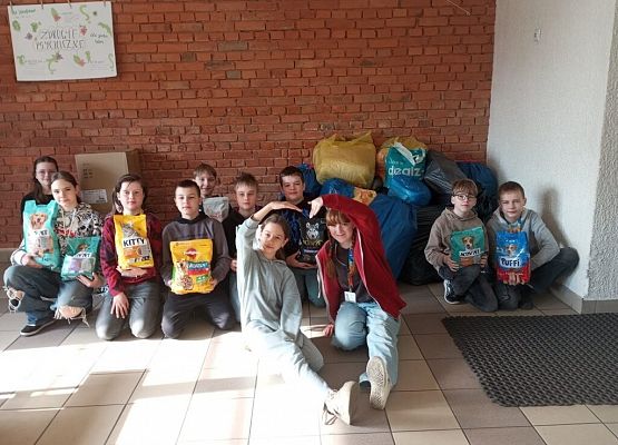 Podsumowanie zbiórki darów dla Schroniska "Bajer" w Małoszycach grafika