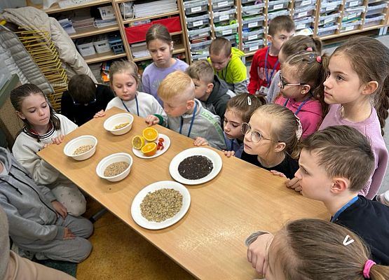 Wiosna u pierwszaków grafika