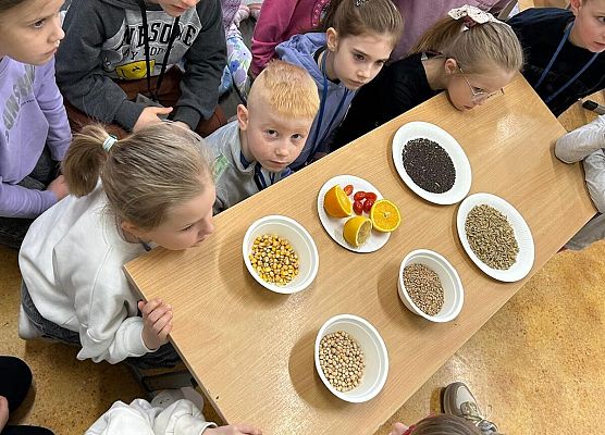 Wiosna u pierwszaków grafika