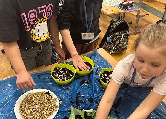 Wiosna u pierwszaków grafika