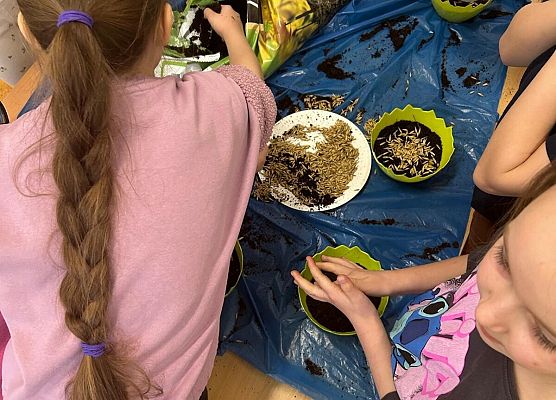 Wiosna u pierwszaków grafika