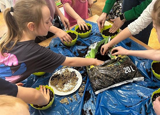 Wiosna u pierwszaków grafika