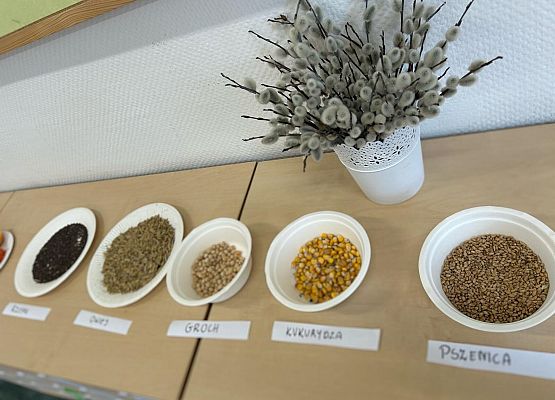 Wiosna u pierwszaków grafika