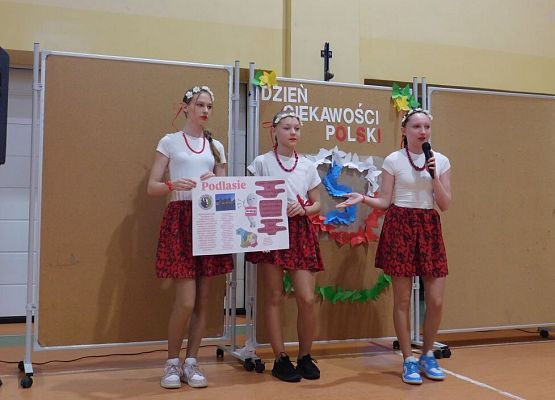 Dzień Ciekawości Polski grafika