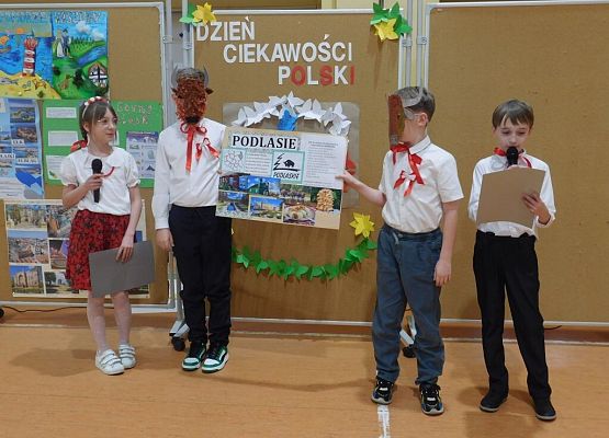 Dzień Ciekawości Polski grafika