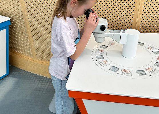 1c i 1d w Centrum Nauki Experyment grafika