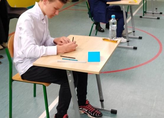 Sukces naszych uczniów w finale Mathmana grafika