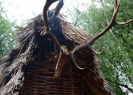 Tu można było dotknąć historii grafika