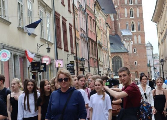 Wawel, sól i rollercoastery grafika