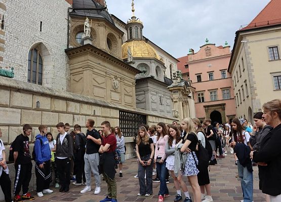 Wawel, sól i rollercoastery grafika