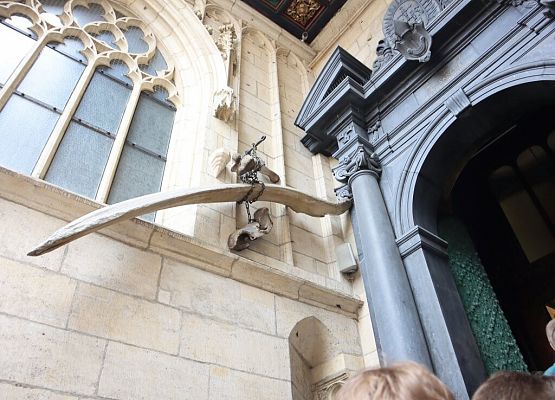 Wawel, sól i rollercoastery grafika