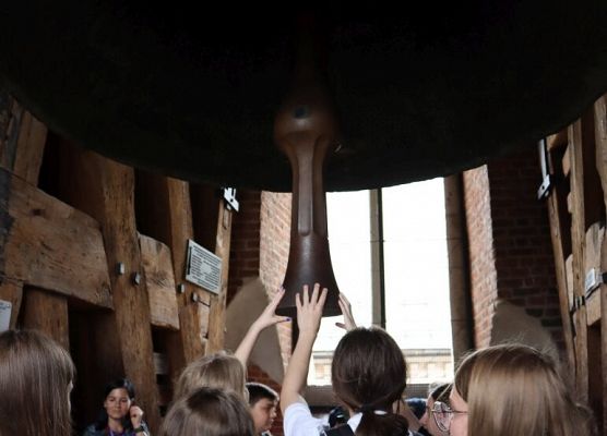 Wawel, sól i rollercoastery grafika