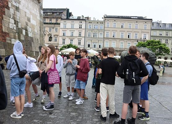 Wawel, sól i rollercoastery grafika