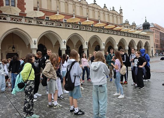 Wawel, sól i rollercoastery grafika