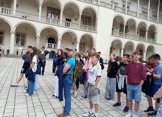 Wawel, sól i rollercoastery grafika