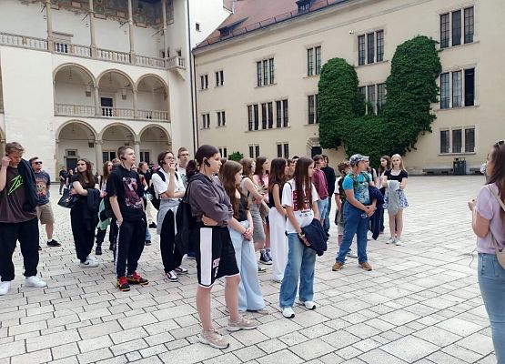 Wawel, sól i rollercoastery grafika