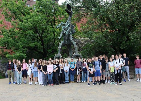 Wawel, sól i rollercoastery grafika