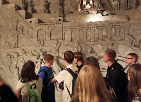 Wawel, sól i rollercoastery grafika