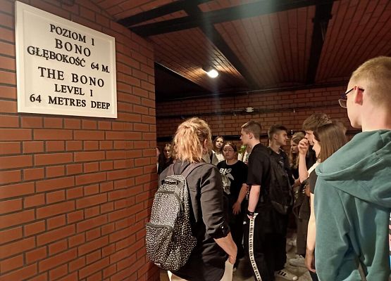 Wawel, sól i rollercoastery grafika