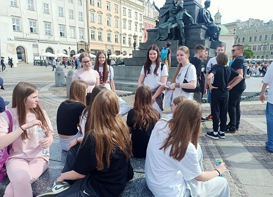 Wawel, sól i rollercoastery grafika